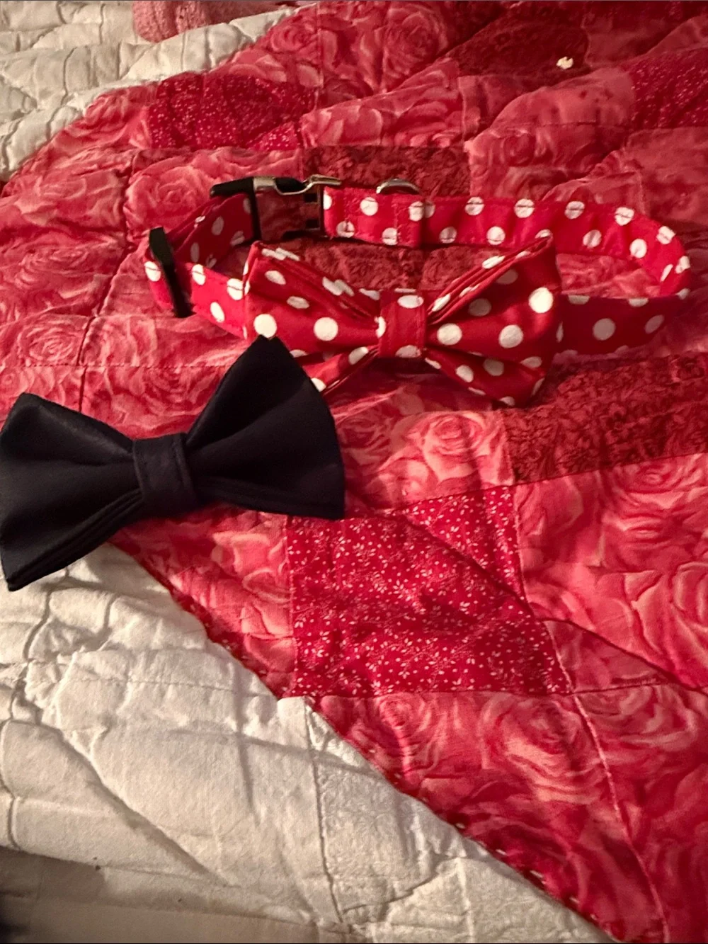 NWT Zivor Pet Supplies Dog Bow Tie Collar 12-19” 4/5” with extra blk bow